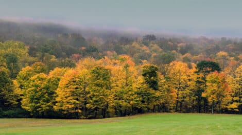 The Due Diligence Checklist Every Land Investor Should Complete Before Closing