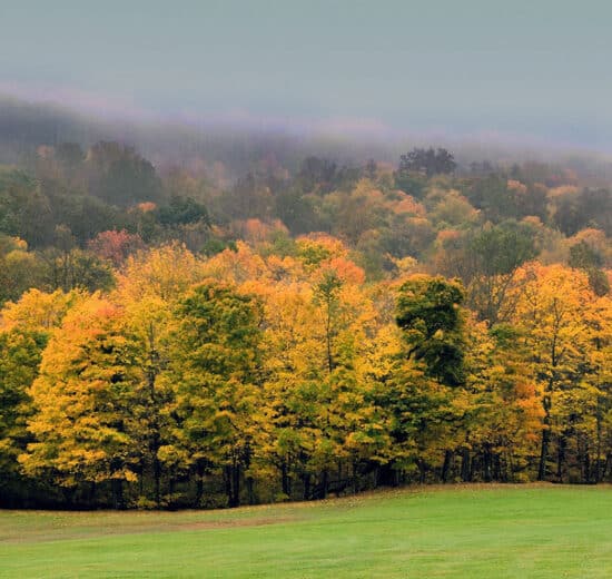 The Due Diligence Checklist Every Land Investor Should Complete Before Closing