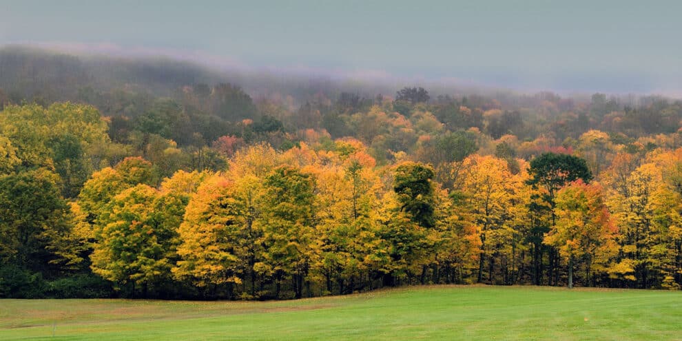 The Due Diligence Checklist Every Land Investor Should Complete Before Closing