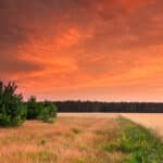 Conducting Due Diligence on Rural Home Sites