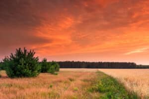 Conducting Due Diligence on Rural Home Sites
