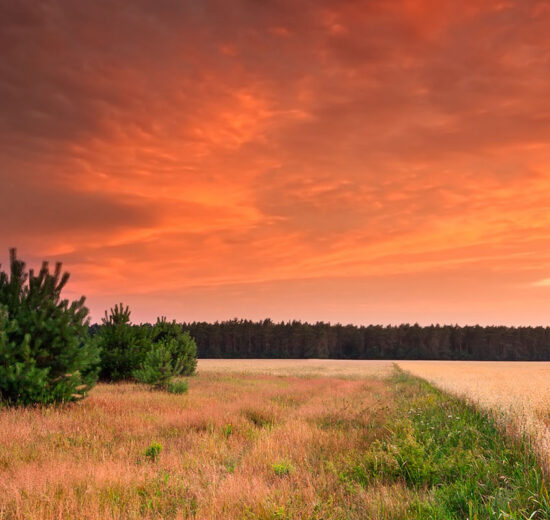 Conducting Due Diligence on Rural Home Sites