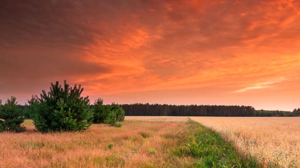 Conducting Due Diligence on Rural Home Sites
