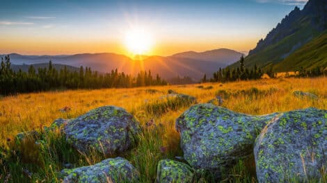 Encouraging Kids to Embrace the Outdoors