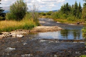Enhancing the True Value of Land – Water Resources