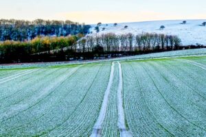 Evaluating Cropland for Investment