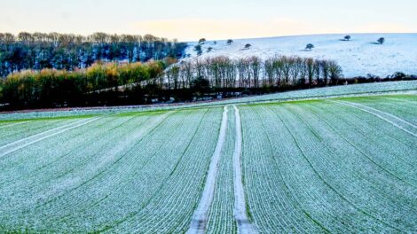 Evaluating Cropland for Investment