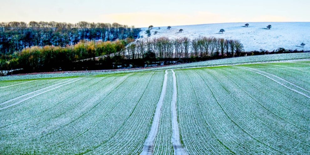 Evaluating Cropland for Investment