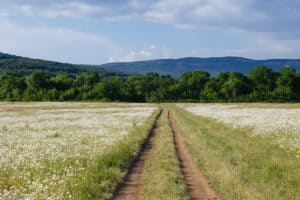 Evaluating Land You Intend to Build On in the Future