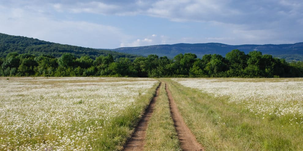 Evaluating Land You Intend to Build On in the Future