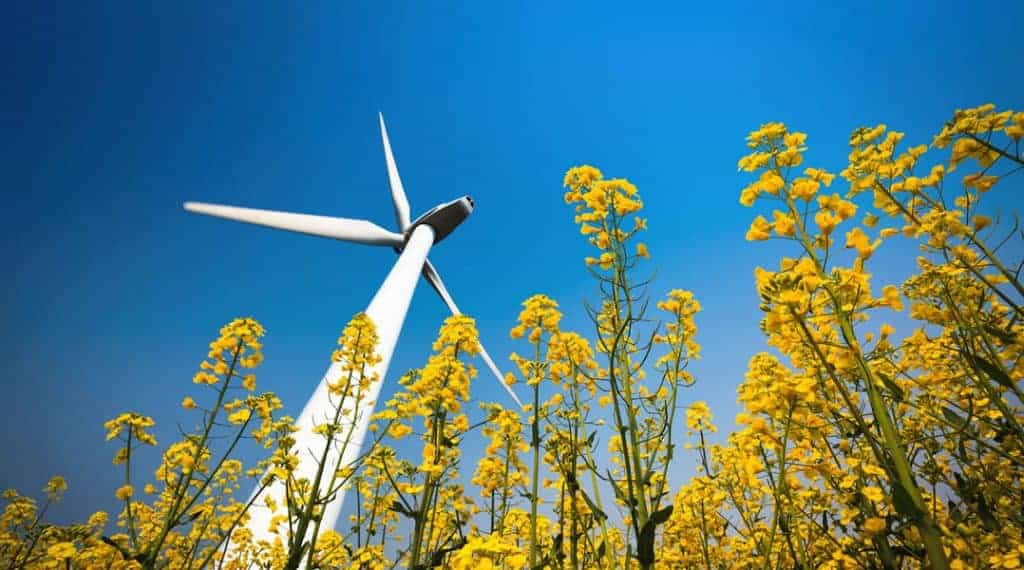 Farming and Renewable Energy LANDTHINK