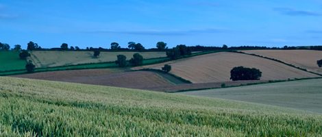 Summary of FDIC Webinar: Don't Bet the Farm - Assessing the Boom in Farmland Prices