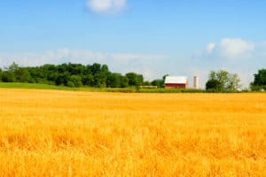 Farmland Auction Insights