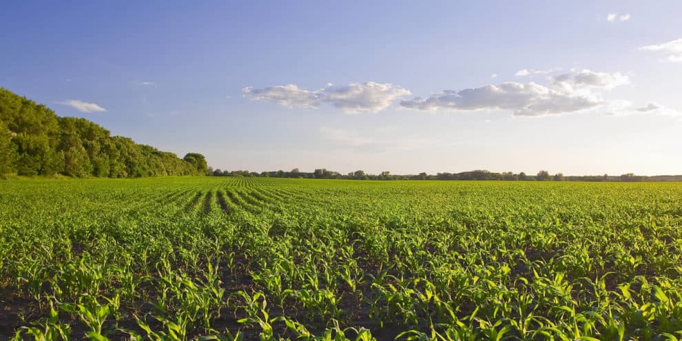 Have Farmland Prices Risen Too Far, Too Fast