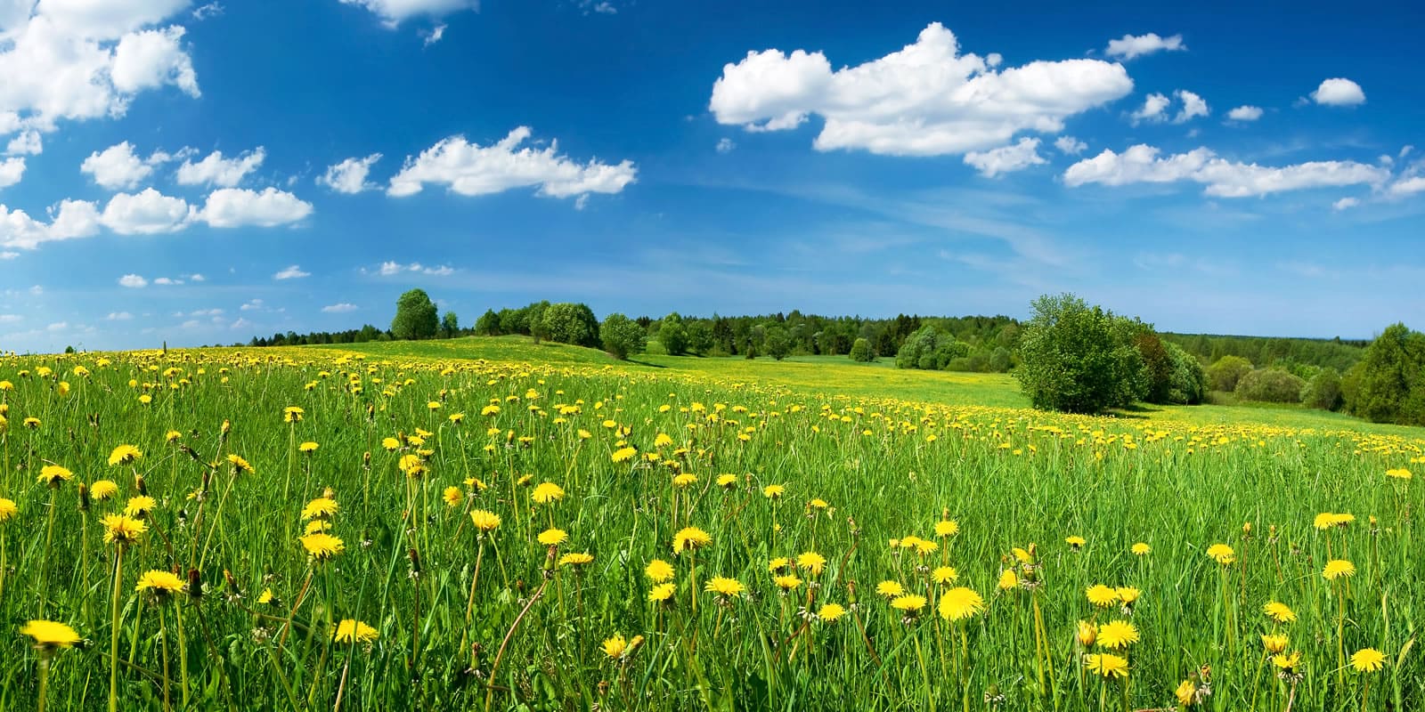 Financing Rural Real Estate LANDTHINK