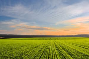 Intuitive Forecast of Agriculture Investment Trends of 2024