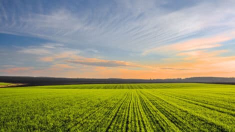 Intuitive Forecast of Agriculture Investment Trends of 2024