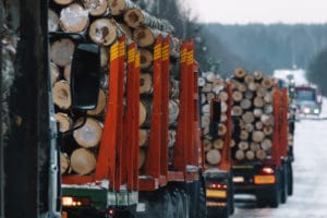 Forest Industry Supply Chains Feel the Strain