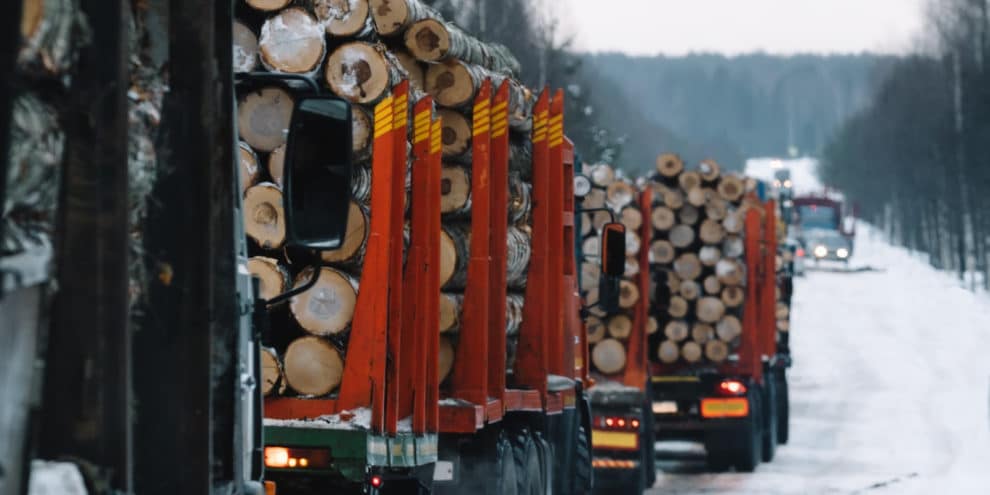 Forest Industry Supply Chains Feel the Strain