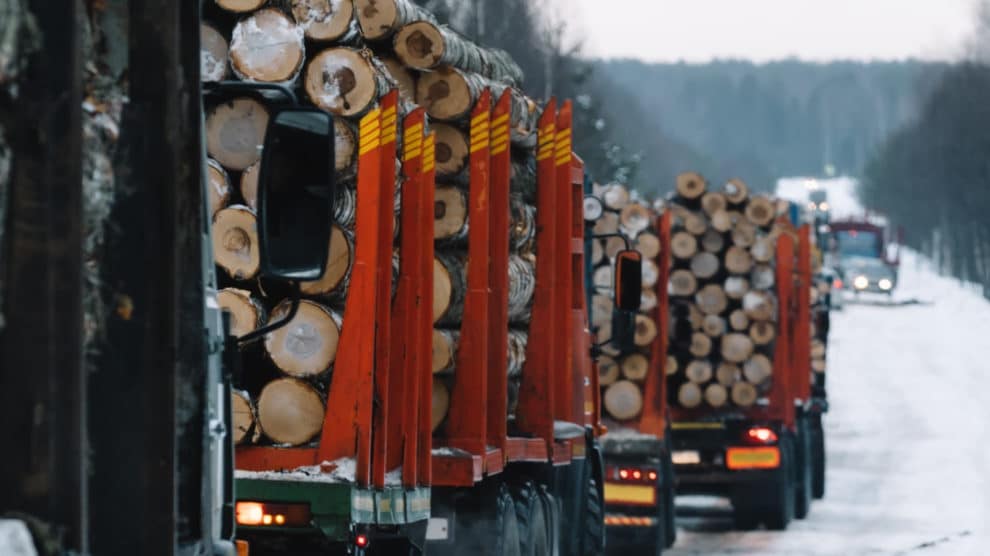 Forest Industry Supply Chains Feel the Strain