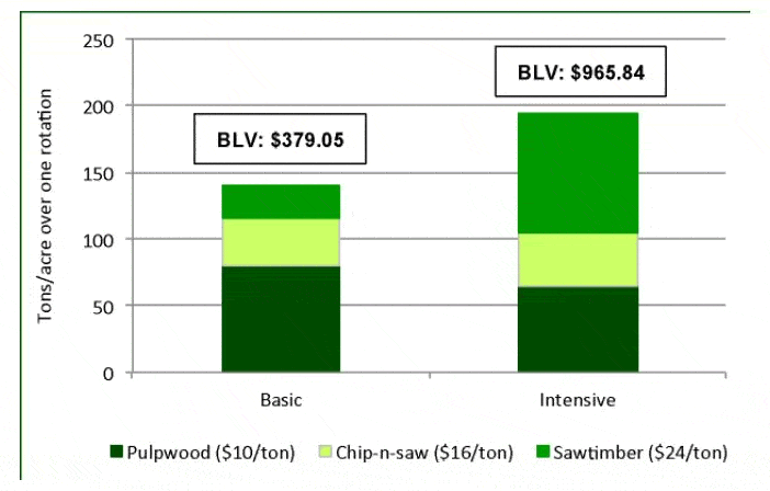 Bare Land Values (BLV) and Production by Product for Each Regime