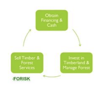 Forisk : Circular Flow of Funds