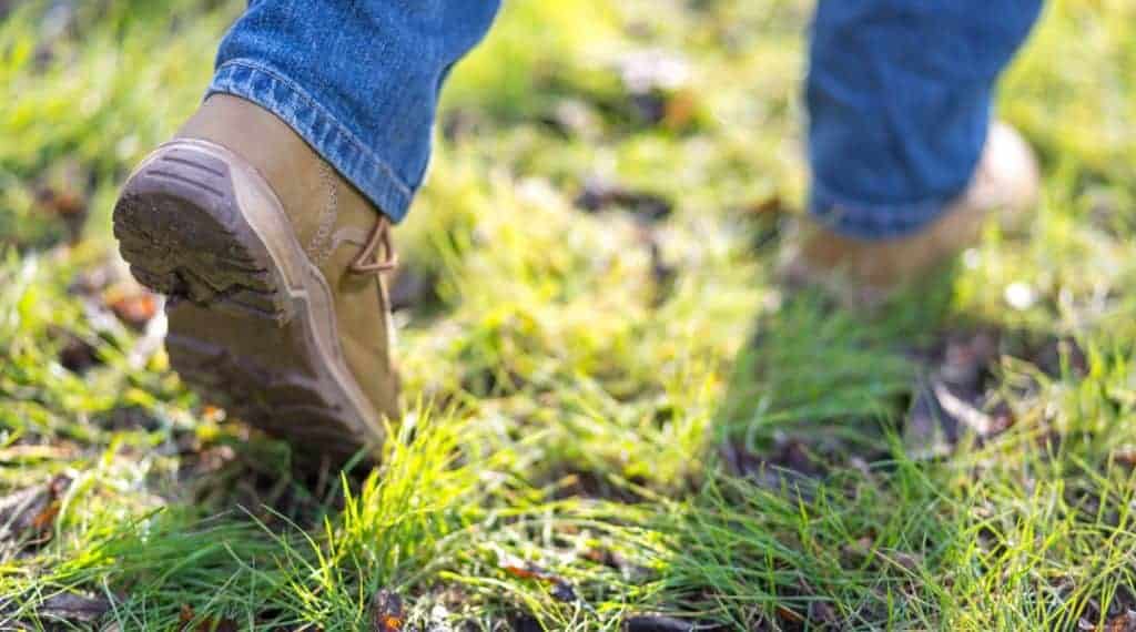 Get To Know Your Land - LANDTHINK