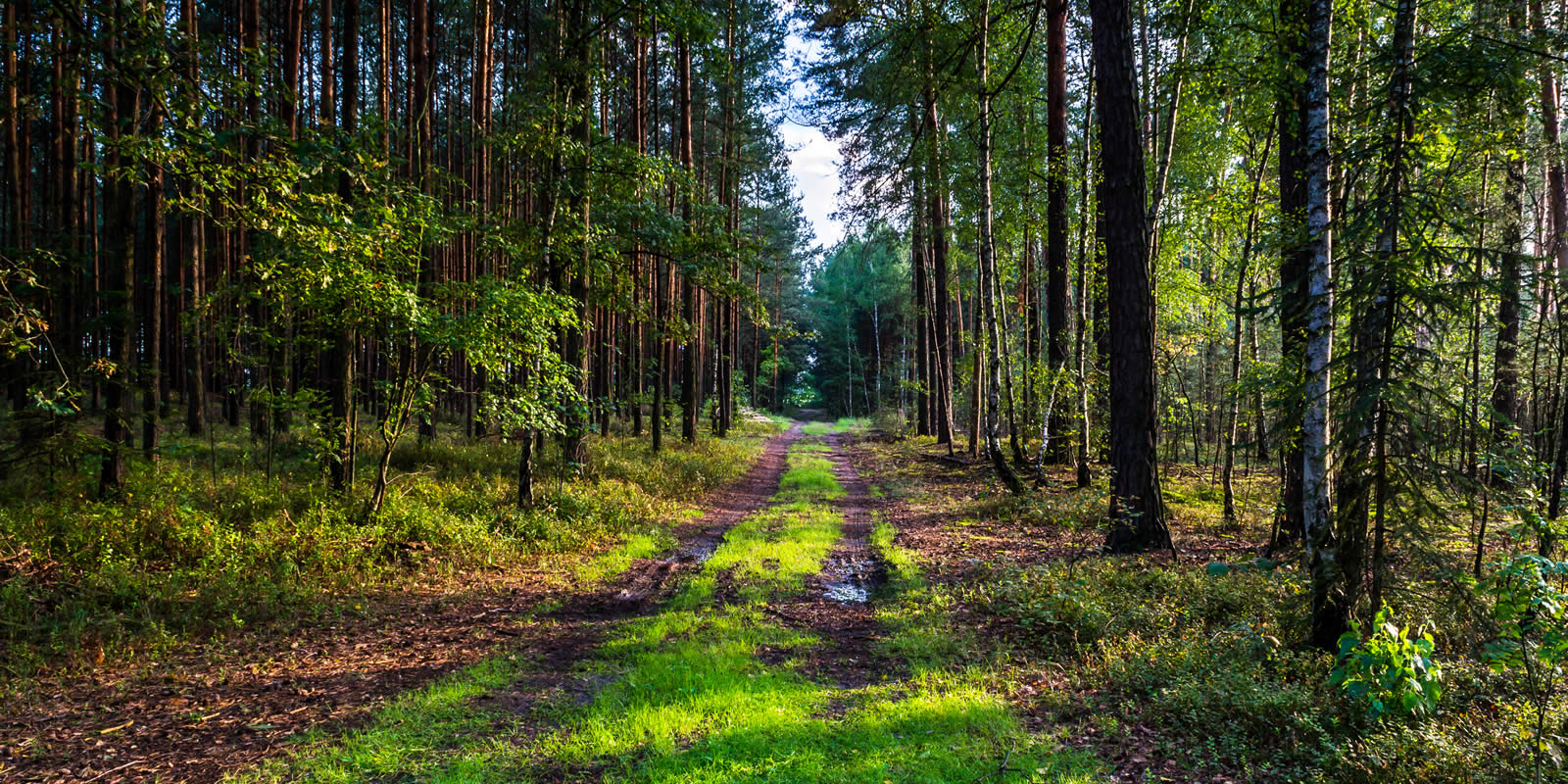 Hiring a Recreational Land Expert LANDTHINK