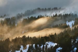 How Did Timberland Investments Perform in 2022?