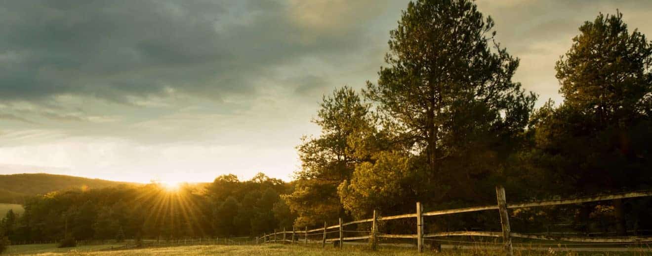 How Do You Decide How Much Land to Buy?
