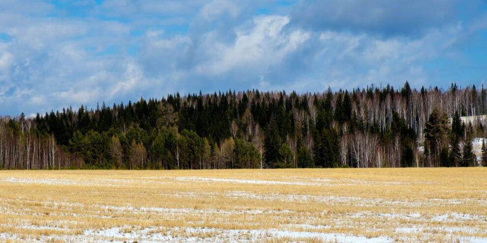 How to Increase Understanding and Insight in Forest Finance