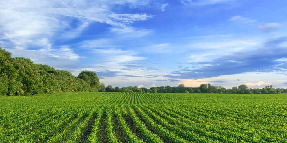 Investing in Row Crop Farmland