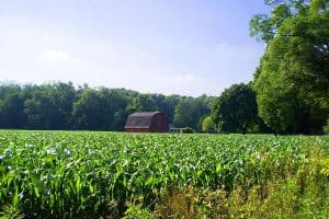 Investing Strategically in Large Rural Land Tracts Can Lead to Maximizing ROI