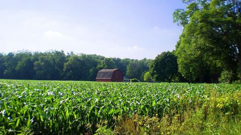 Investing Strategically in Large Rural Land Tracts Can Lead to Maximizing ROI