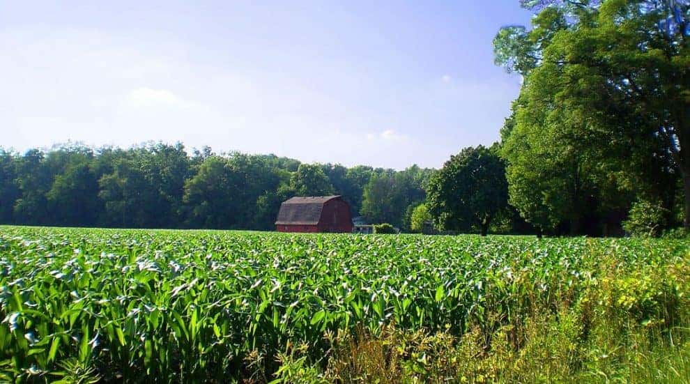 Investing Strategically in Large Rural Land Tracts Can Lead to Maximizing ROI