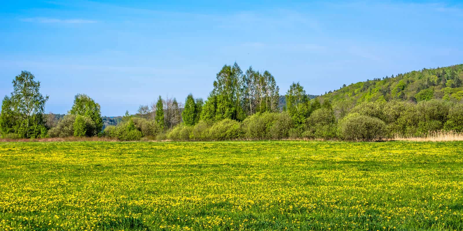 rural land justifying investment finding pay ways landthink min read