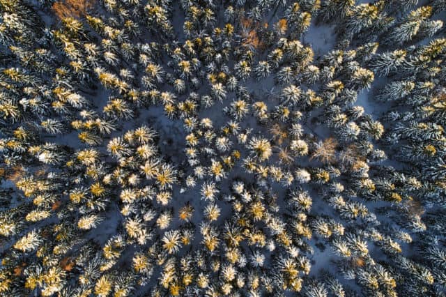 Crowdfunding for Agriculture: Investing in Farmland - LANDTHINK