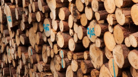 Know Your Numbers: Does Your Timber or Wood Market “Balance”?