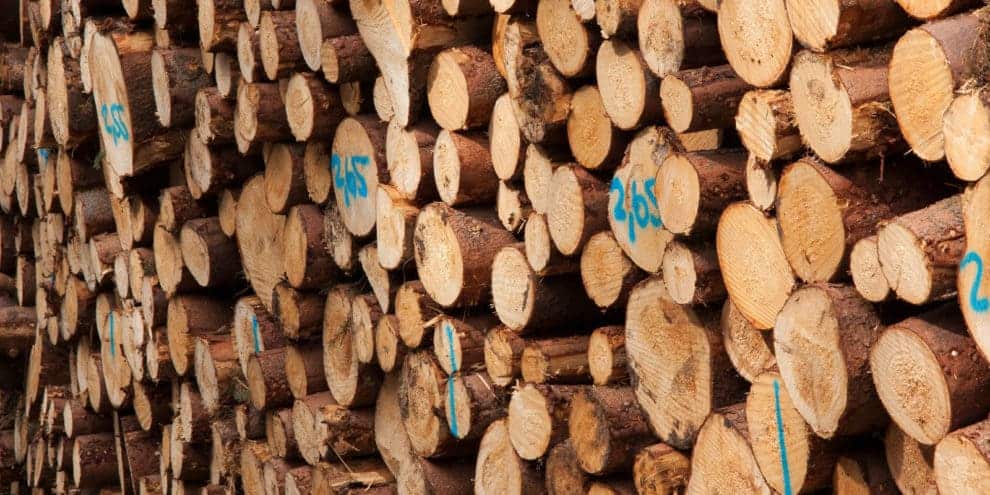 Know Your Numbers: Does Your Timber or Wood Market “Balance”?