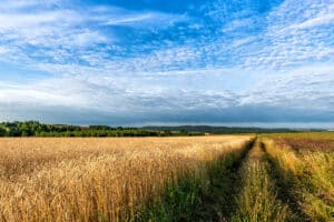 Land Investment Tips for Smarter Decisions