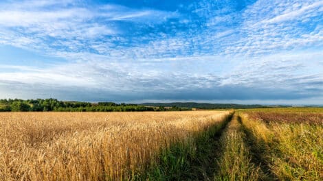 Land Investment Tips for Smarter Decisions