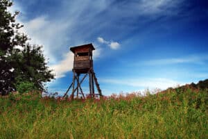 Land Q&A: Approaching Landowners About Buying Land That's Not for Sale