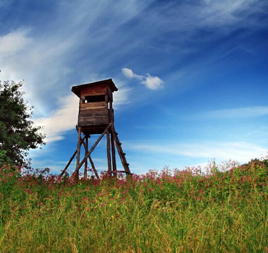 Land Q&A: Approaching Landowners About Buying Land That's Not for Sale