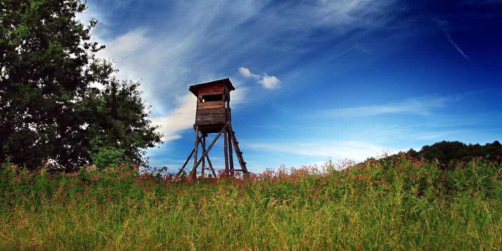 Land Q&A: Approaching Landowners About Buying Land That's Not for Sale