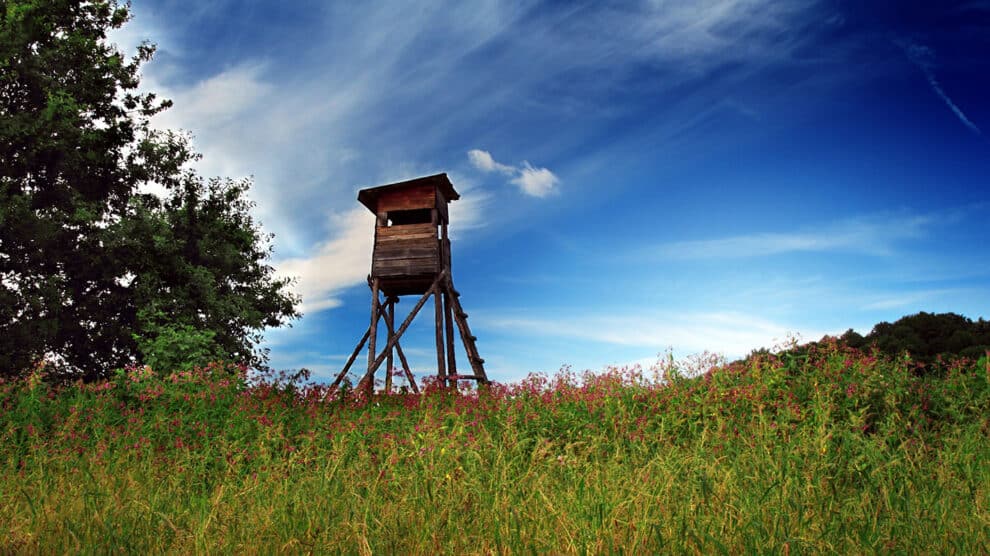 Land Q&A: Approaching Landowners About Buying Land That's Not for Sale
