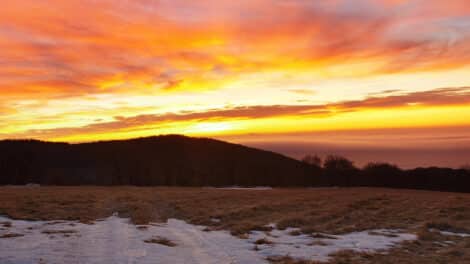 Land Q&A: Buying Land When Mineral Rights Don't Convey