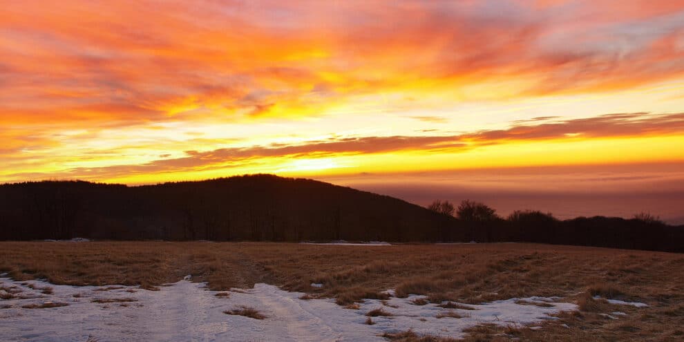 Land Q&A: Buying Land When Mineral Rights Don't Convey