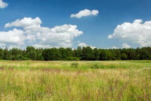 Land Q&A: Buying Land to Shoot On