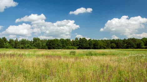 Land Q&A: Buying Land to Shoot On