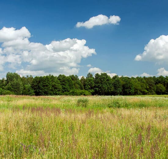 Land Q&A: Buying Land to Shoot On